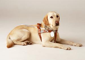 千葉市にある非抜歯矯正治療を行う歯科医院です