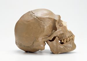 伊勢市で信頼性の高い矯正歯科医院