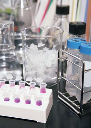 札幌でインプラント治療を受けたいときは