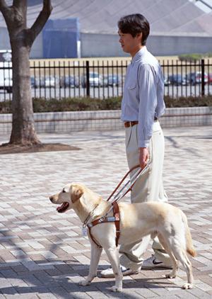 阿佐ケ谷で評判の歯医者徹底ガイド！2026年最新の選び方とおすすめクリニック