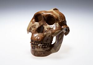 2026年最新｜天白区の眼科選びに役立つ！信頼できる眼科クリニックのポイントとおすすめ情報